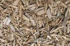 biomass boilers Moss Of Barmuckity